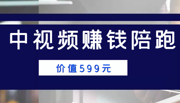 中视频赚钱陪跑，卖中视频账户赚钱收益陪跑项目（价值599元）-第一资源库
