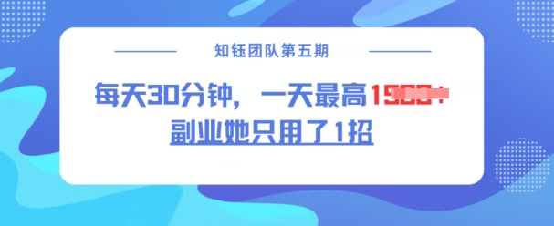 副业她只用了1招，每天30分钟，无脑二创，一天最高1.5k-第一资源库